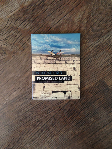 Promised Land Movie (DVD)